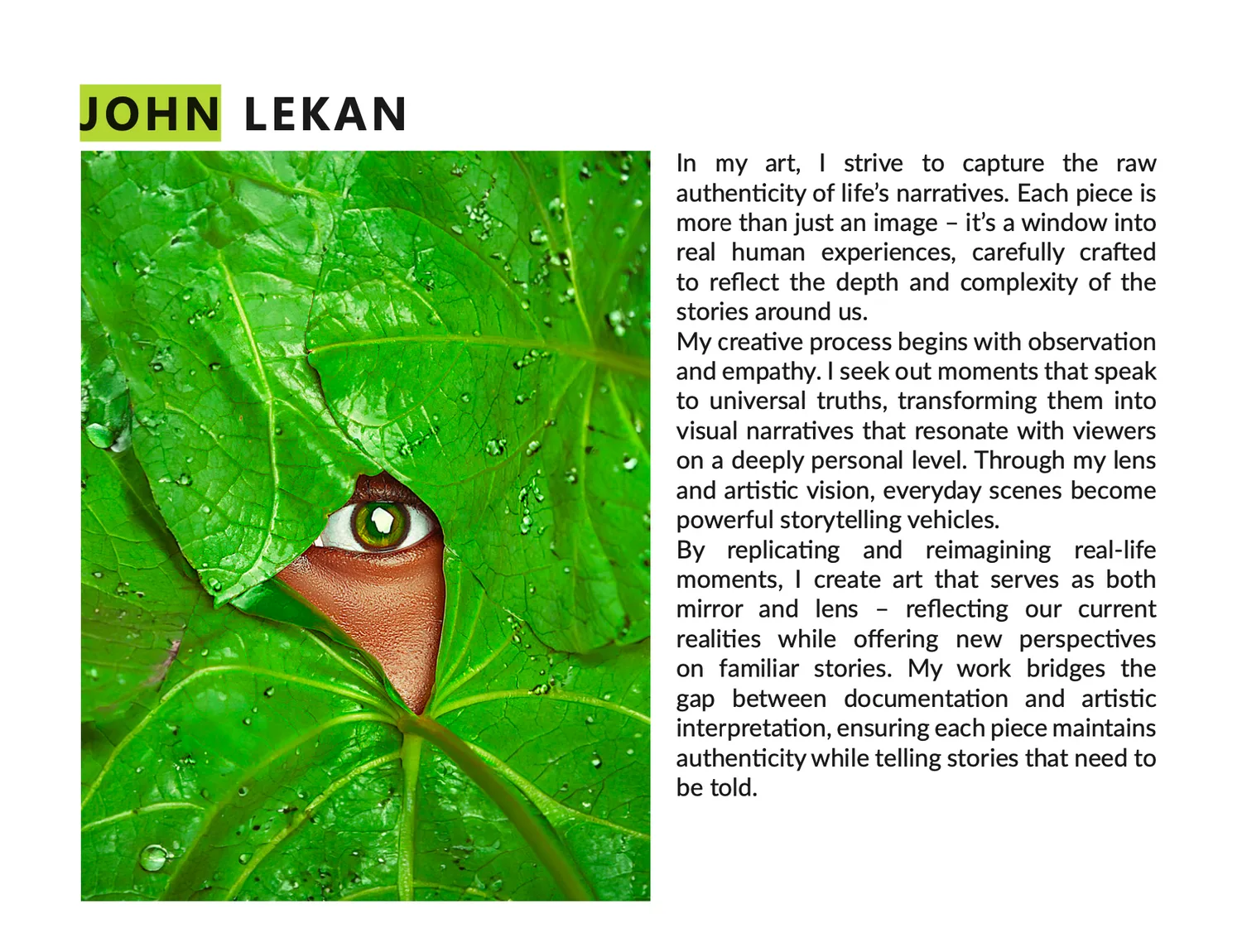 Sanctuary of Nature detail — artist statement listing at the Dreams and Nightmares exhibition at Boomer Gallery London