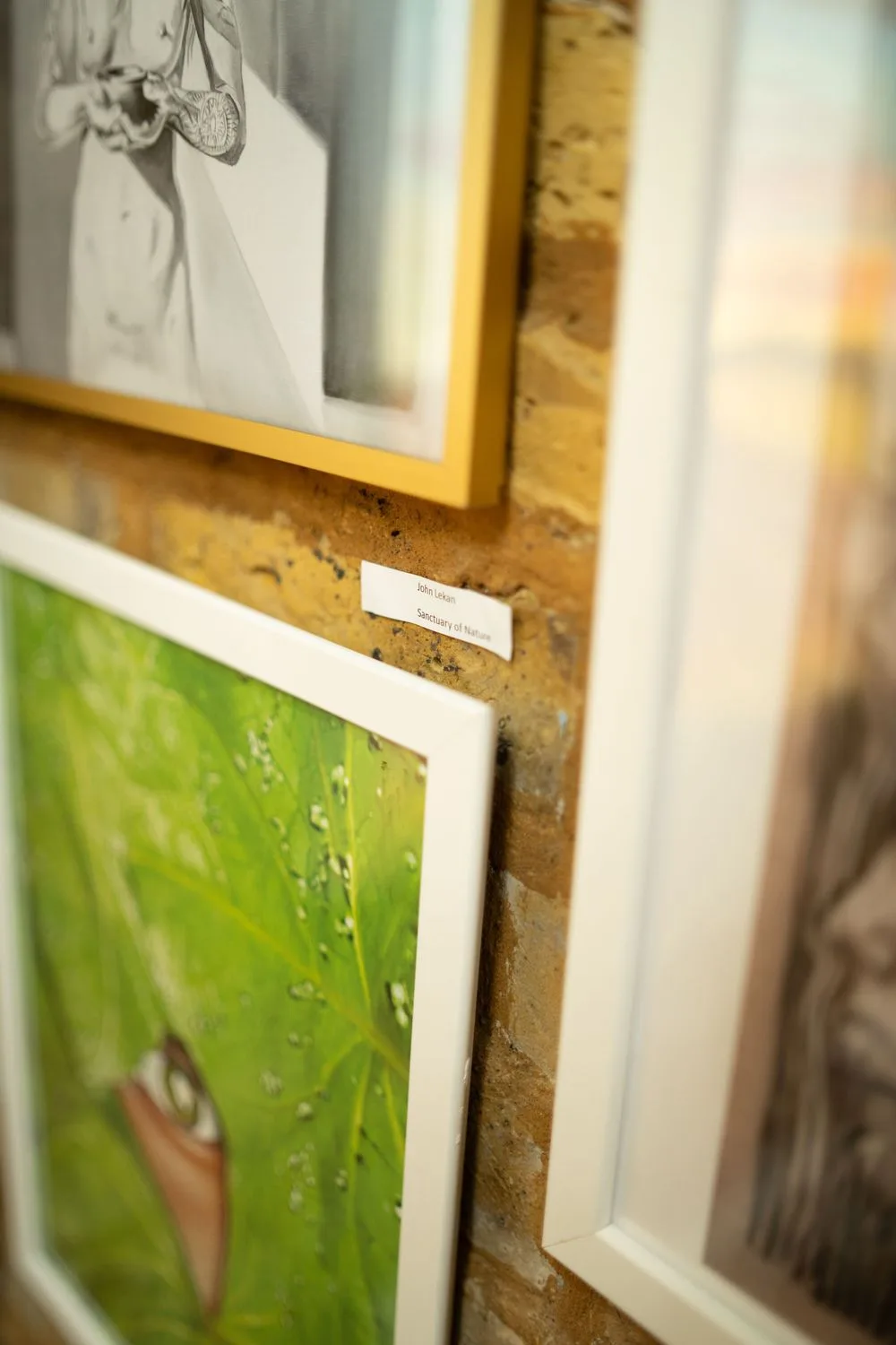Framed artwork displayed on a textured brown wall showing partial views of photo prints in white frames.