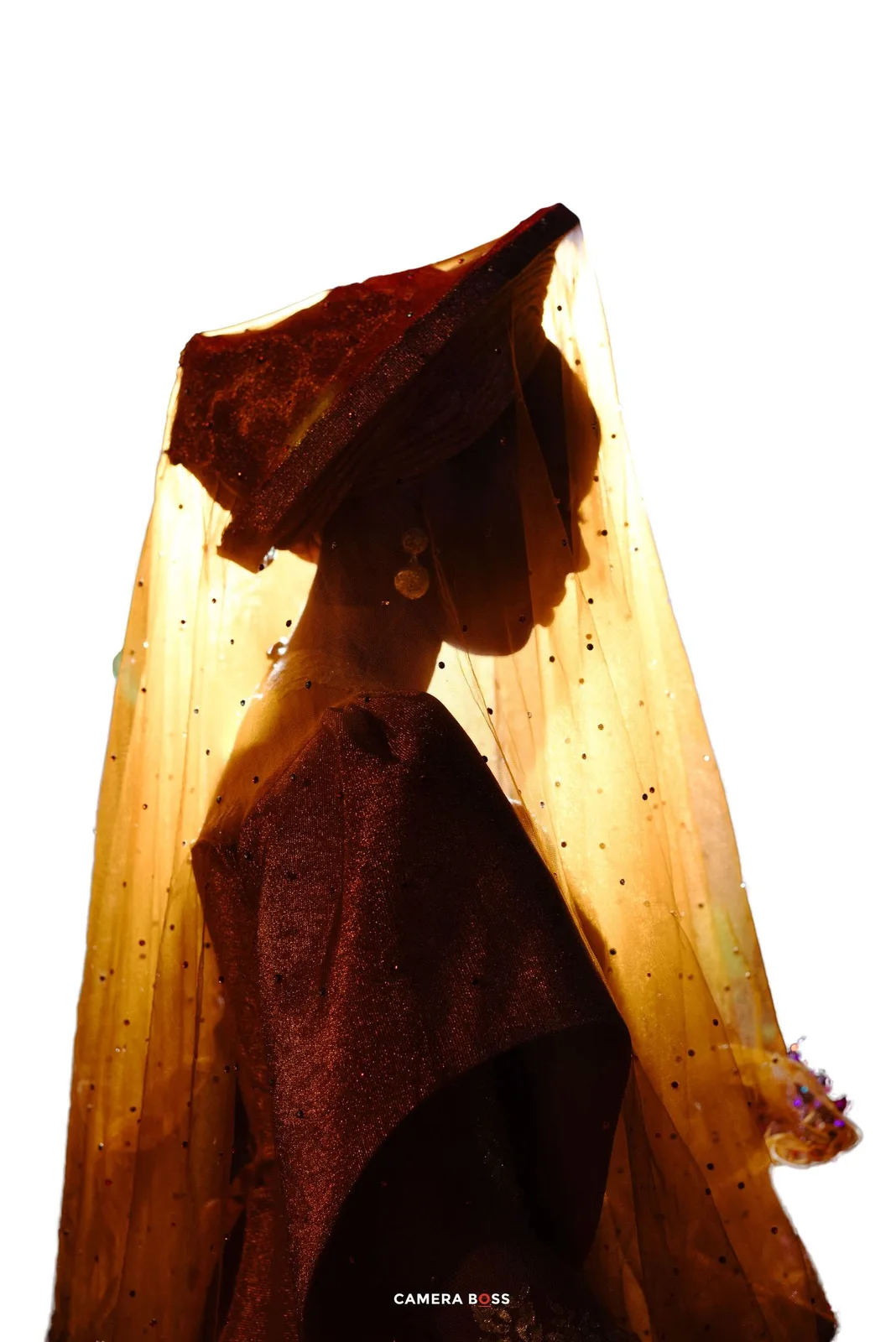 Silhouetted figure in elegant Victorian dress and hat stands in amber-tinted light creating a dramatic sepia profile.