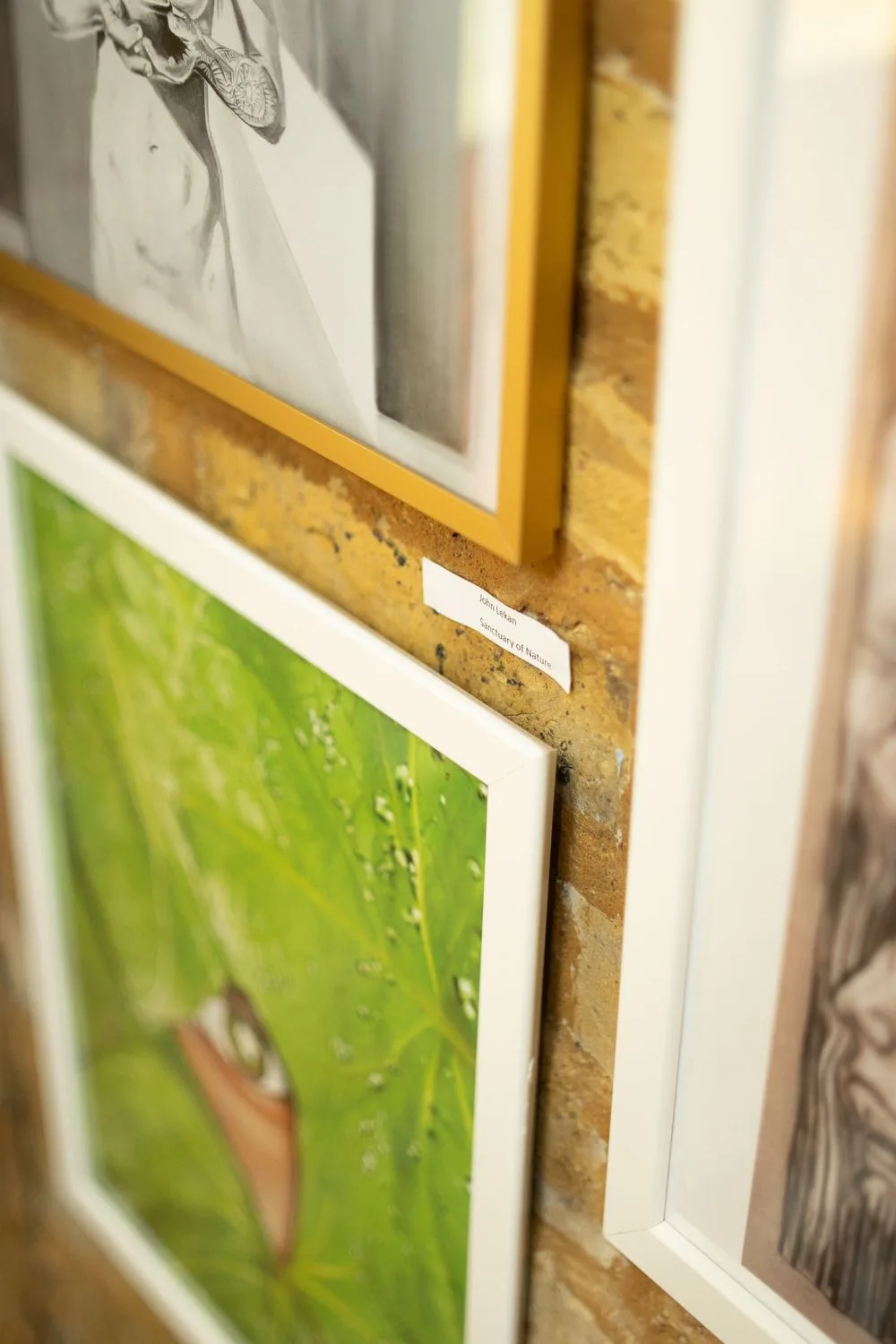 Multiple framed artworks at Dreams and Nightmares Boomer Gallery including Sanctuary of Nature by Cameraboss among mixed media works on textured gallery wall