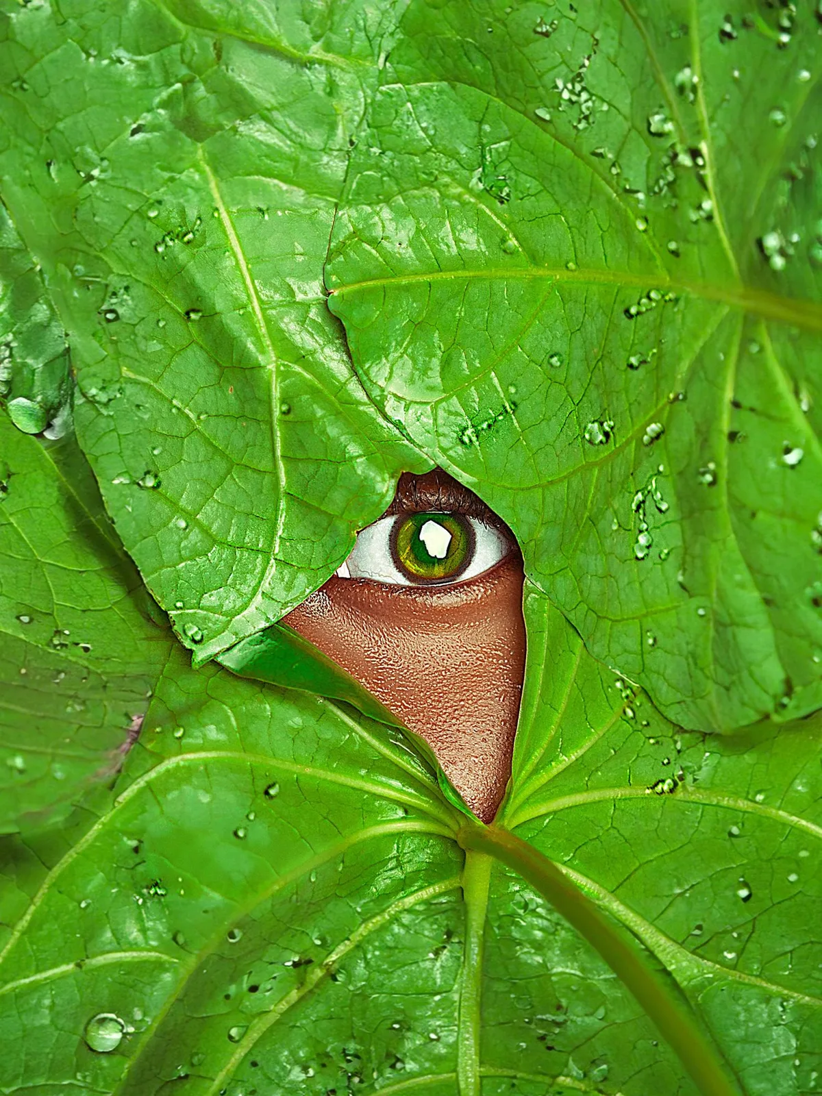Sanctuary of Nature by John Lekan Durojaye — a close-up photograph of a human eye framed by vibrant wet green leaves, exploring nature as refuge during times of global fear