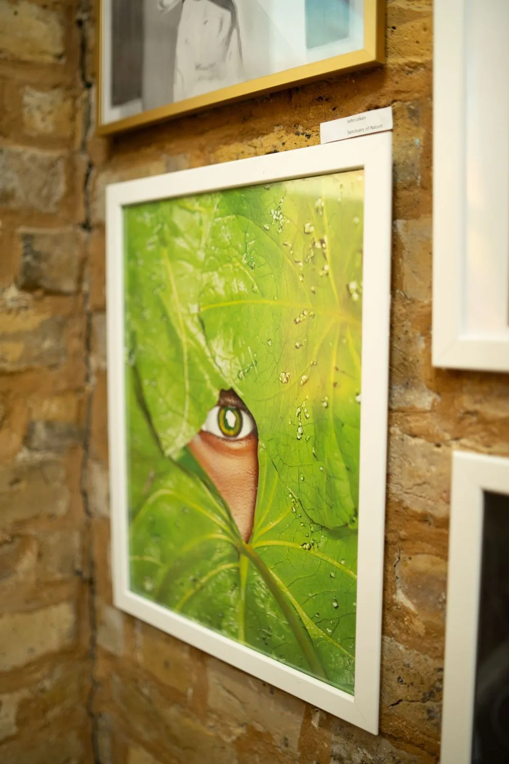 Sanctuary of Nature by Cameraboss framed and hung on the brick wall at Boomer Gallery London during the Dreams and Nightmares Fifth Edition exhibition